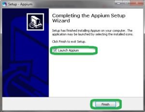 launch appium server 